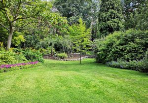 Optimiser l'expérience du jardin à Bremoncourt